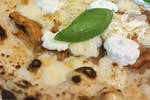LA SMORFIA - Ristorante Pizzeria a San Miniato (PI) - Pizza Spaccanapoli con Ciccioli Napoletani, Provola di Agerola, Pepe e Ricotta Fresca