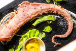 OSTERIA DI BACCO - Cerreto Guidi (FI) - Cucina Toscana, Piatti a Base di Carne e di Pesce